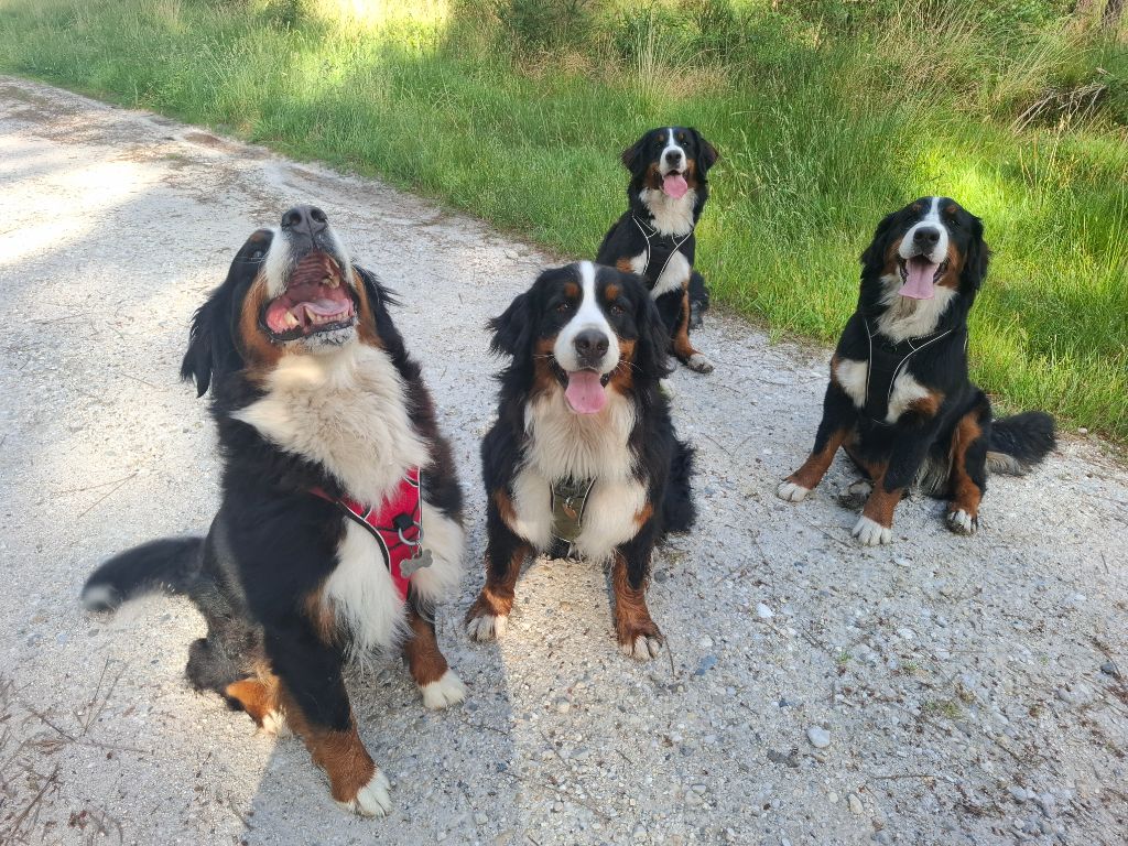 Mes 4 boubous